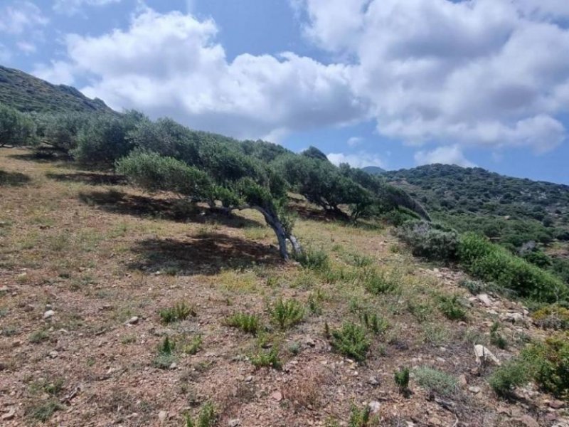 Roussa Ekklisia Kreta, Roussa Ekklisia: Baugrundstück mit Meerblick zu verkaufen Grundstück kaufen